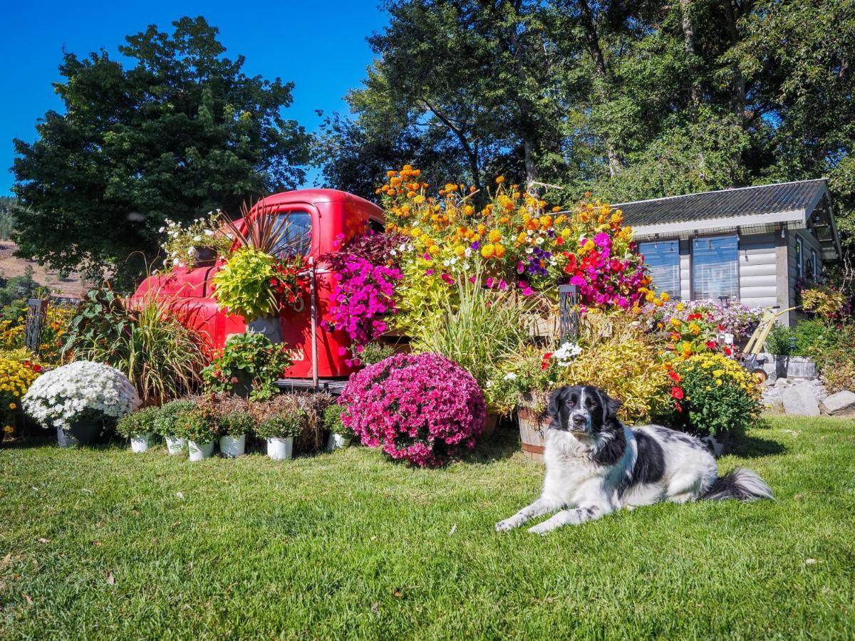 Rayleigh Riverfront Retreat- Peaceful Garden Oasis-25 Minutes To Ski Hill Kamloops Exterior foto